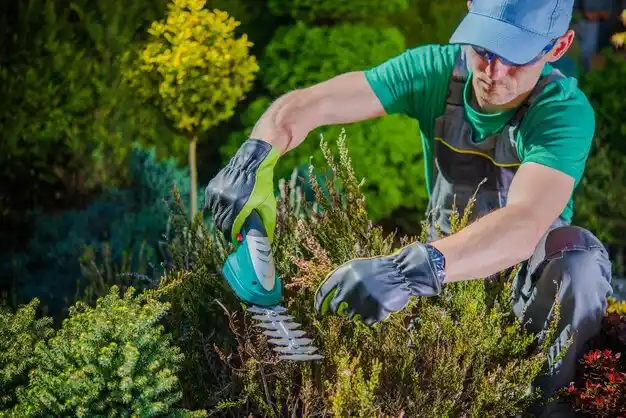 landscaping services Metcalfe